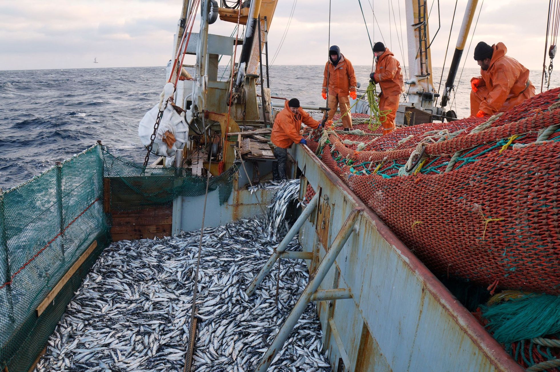 Российские рыбаки подцепили коронавирус: удар по экспорту или локальная проблема